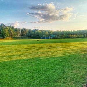 IMG_20230707_195339-01